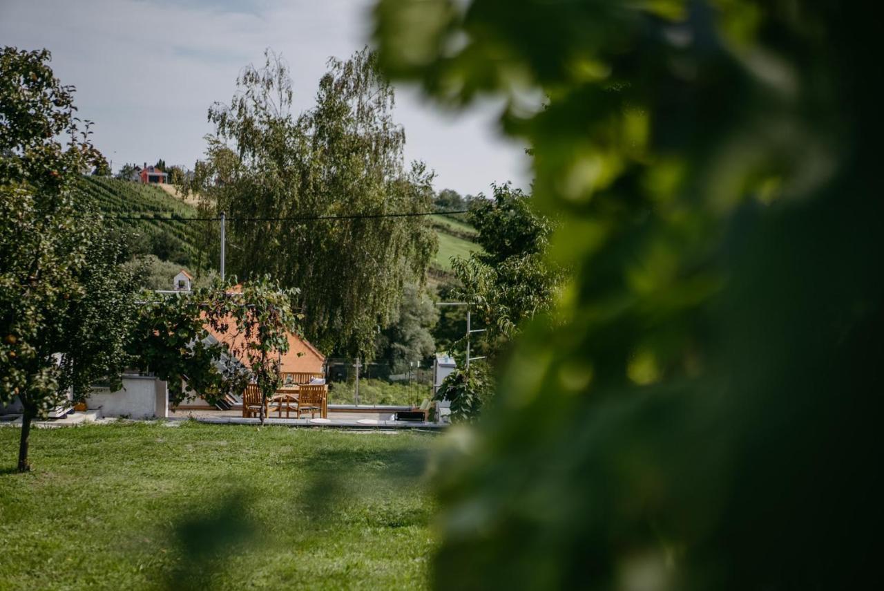 Wein Cottage Kellerstoeckl Eisenberg an der Pinka Dış mekan fotoğraf
